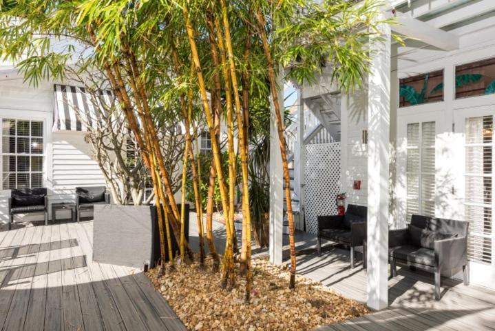 Alexander'S Guesthouse-Adult Exclusive, Lgbtq Friendly Key West Cameră foto